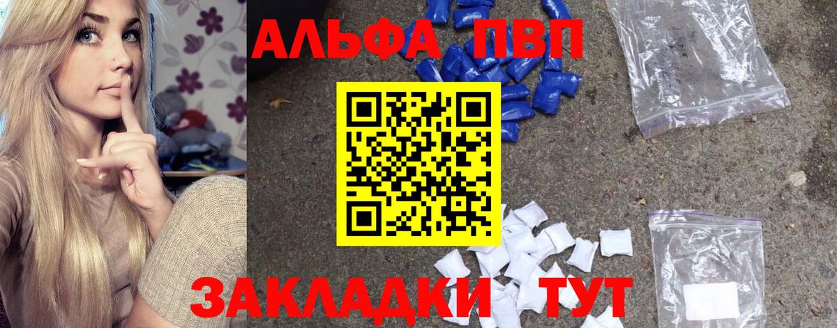 Alfa_PVP СК Куйбышев