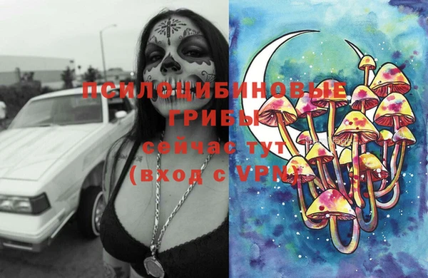 ешки Богородск