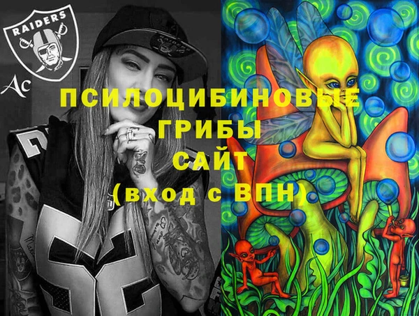 ешки Богородск