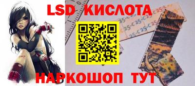 крисы Кингисепп