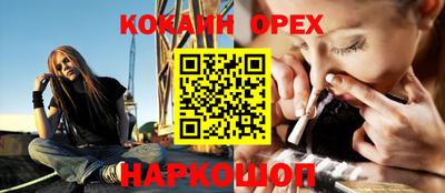 крисы Кингисепп