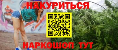 крисы Кингисепп