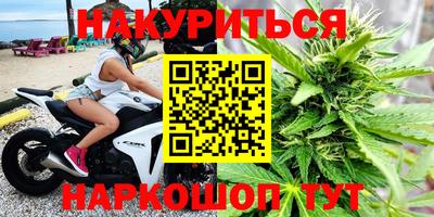 крисы Кингисепп