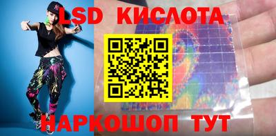 крисы Кингисепп