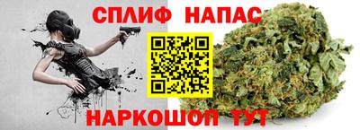 крисы Кингисепп