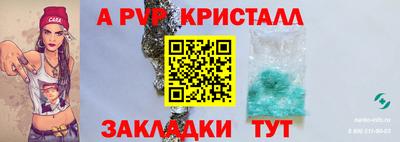 крисы Кингисепп