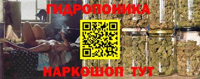 трава Абакан