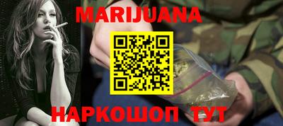 крисы Кингисепп