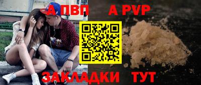 крисы Кингисепп