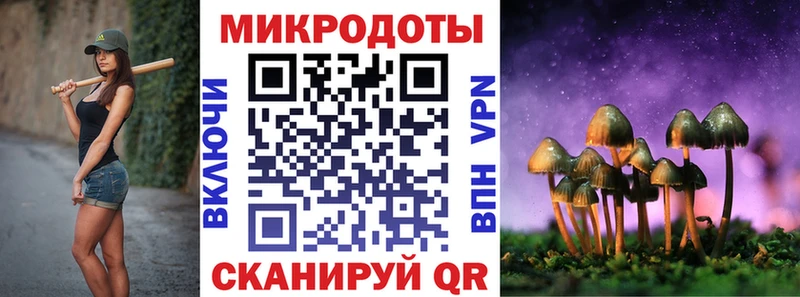 Галлюциногенные грибы Psilocybe  Купить закладки  Куйбышев 